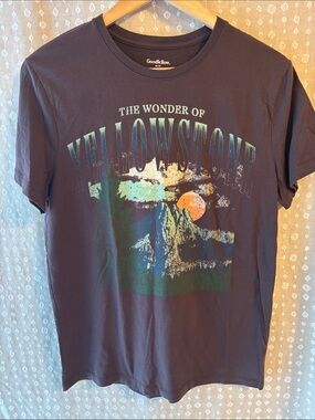Goodfellow & Co Yellowstone Graphic Tee with Sunset Accent